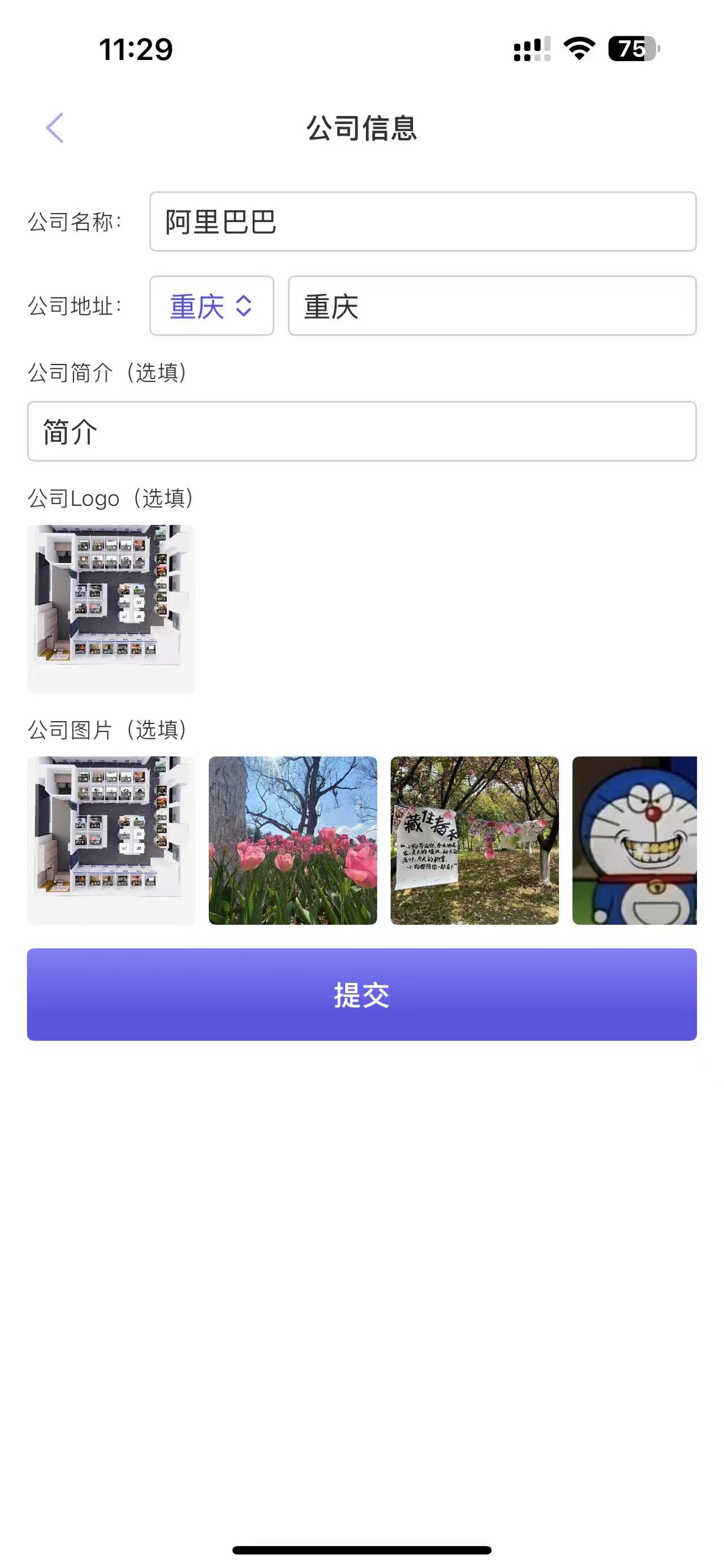 发布公司